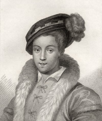 VI. Edward, az 1806-ban kiadott "A katalógus a királyi és nemes szerzőkről" című kötetből. alkotó: English School